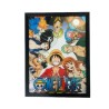 Cuadro One Piece 30x40