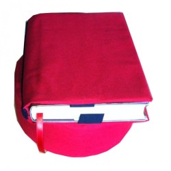 Almohadon de lectura rojo