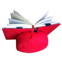 Almohadon de lectura rojo