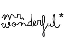 Mr Wonderful